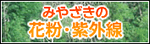 �݂₴���̉ԕ��E���O��