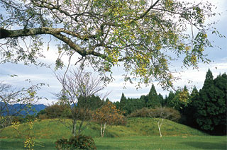 ���s���Õ��Q