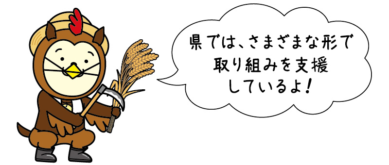 県では、さまざまな形で取り組みを支援しているよ！