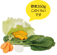 野菜350gこのくらいです