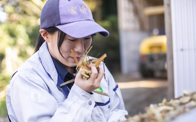 現在携わっている仕事内容 イメージ