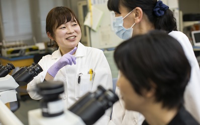 現在携わっている仕事内容 イメージ