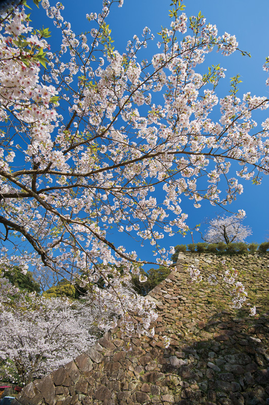 城山公園
