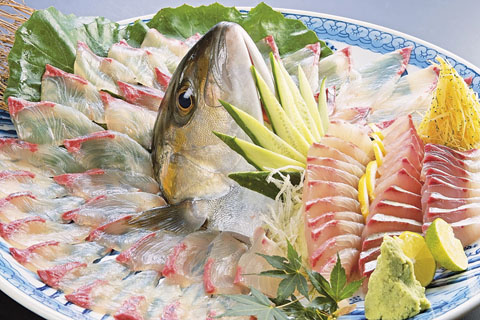 宮崎カンパチ