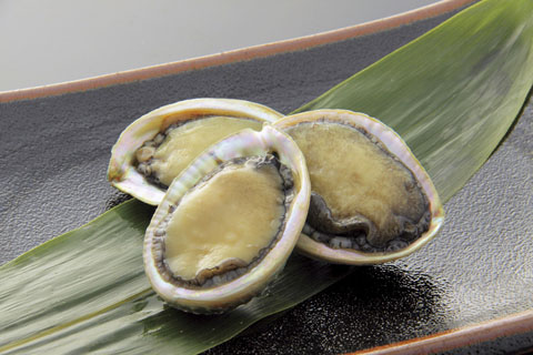 宮崎一口あわび「浦の恵(うらのめぐみ)」