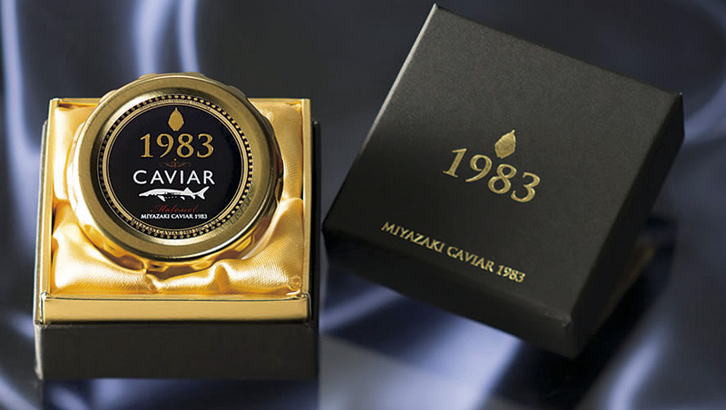 MIYAZAKI CAVIAR 1983