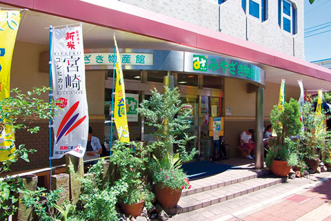 みやざき物産館