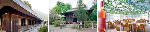 鶴富屋敷と三ヶ所神社と五ヶ瀬ワイナリー