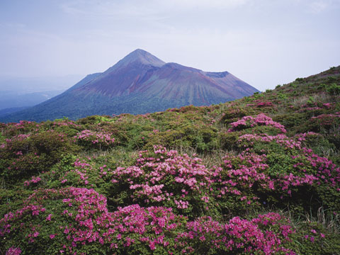 高千穂峰とミヤマキリシマ