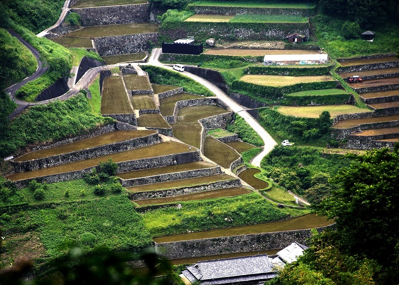 ishigaki