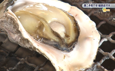 岩ガキ