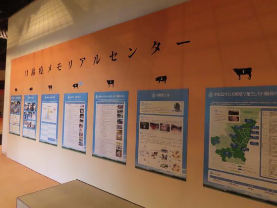 メインコーナー