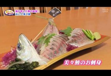 美々鰺