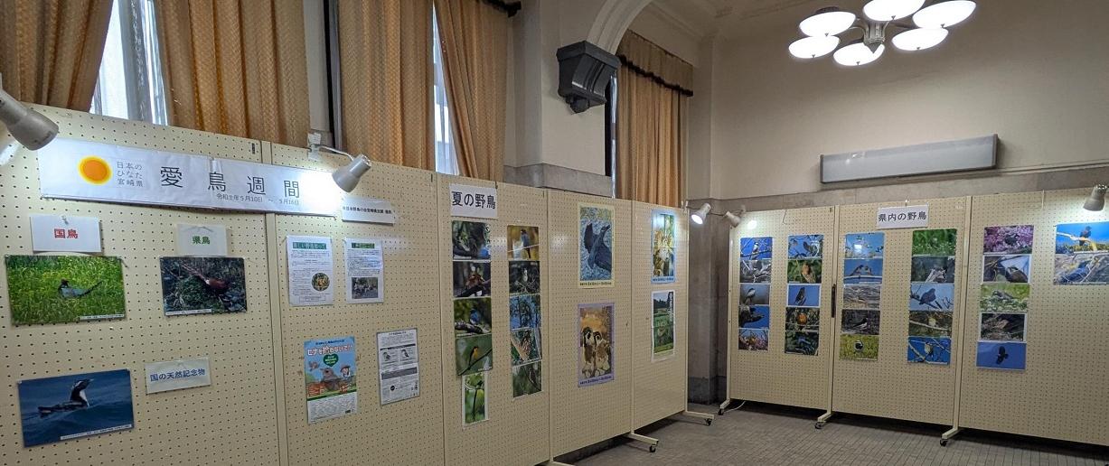 R7展示