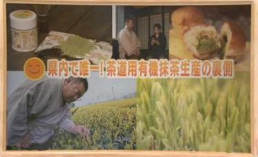 茶道用有機抹茶生産の裏側