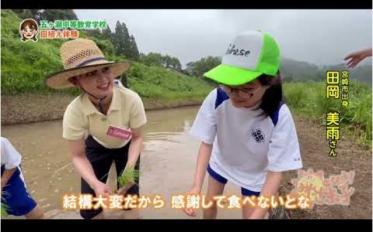 田植え体験