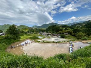 田植え