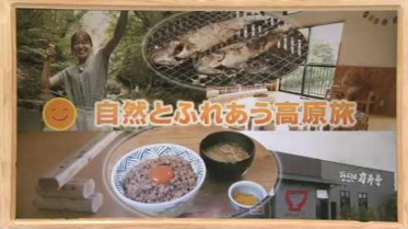 高原旅