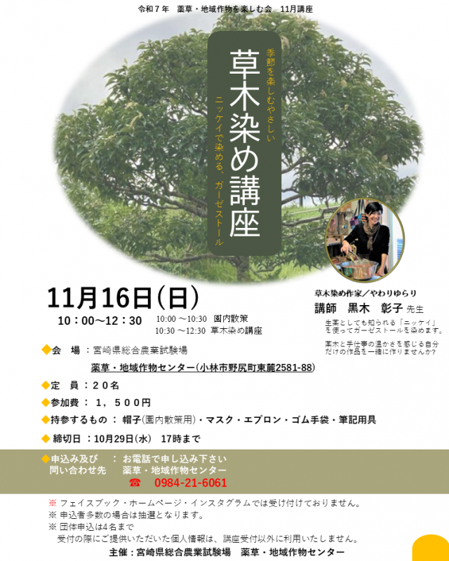 11月チラシ