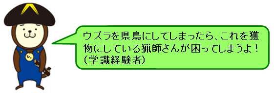 県鳥選出委員コメント1、ウズラを県鳥にしてしまったら、これを獲物にしている猟師さんが困ってしまうよ！（学識経験者）