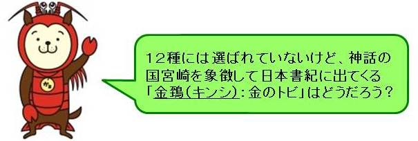 県鳥選出委員コメント3、12種には選ばれていないけど、神話の国宮崎を象徴して日本書紀に出てくるキンシ（金のトビ）はどうだろう？