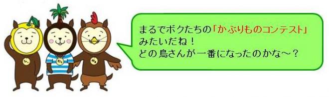 みやざき犬コメント、まるでボクたちの「かぶりものコンテスト」みたいだね！どの鳥さんが一番になったのかな～？