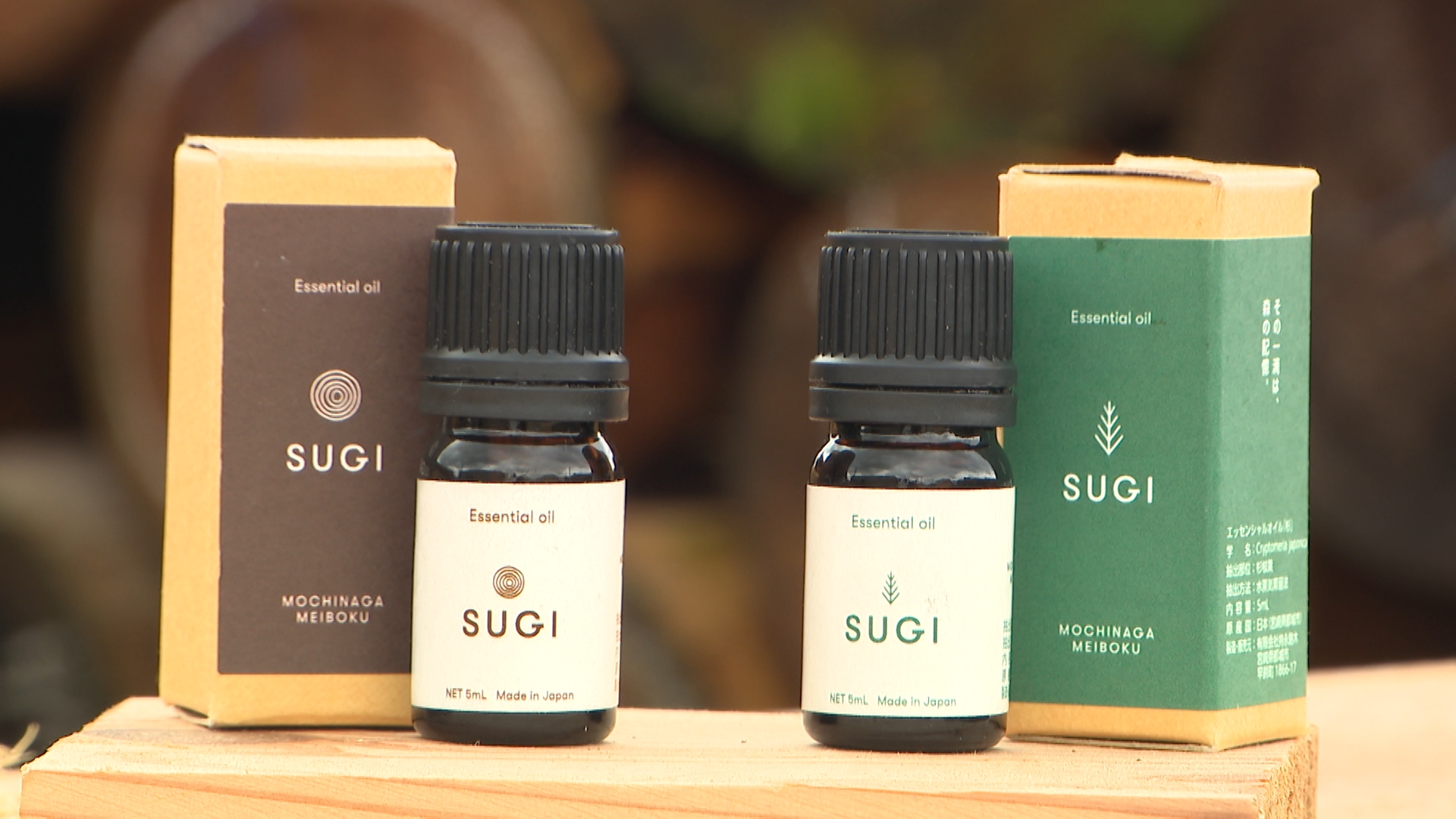 SUGI
