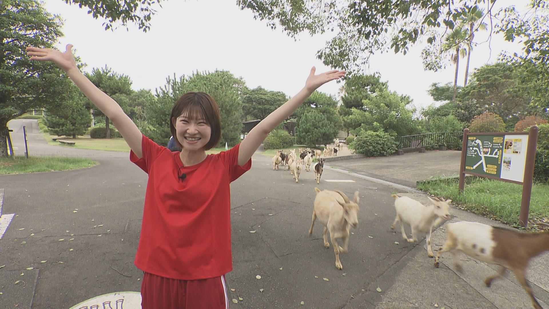 動物園