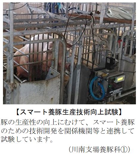 スマート養豚生産技術向上試験