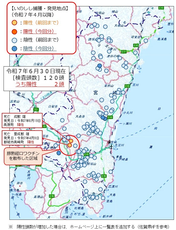 野生イノシシにおける豚熱サーベイランス検査成績について