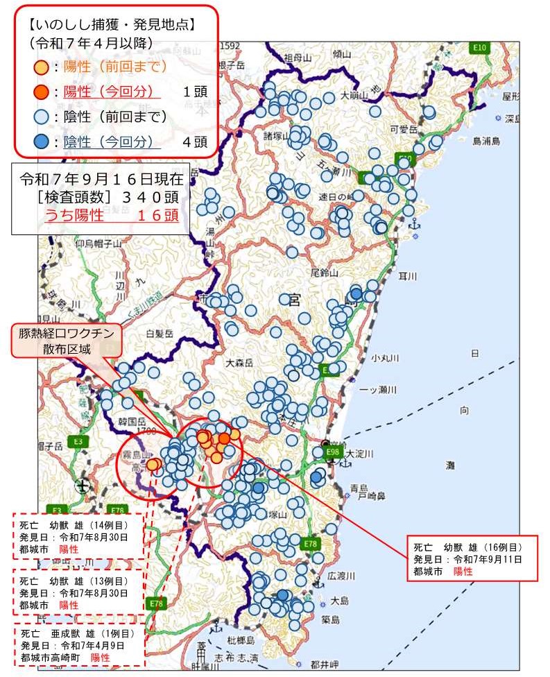 野生イノシシ検査地点