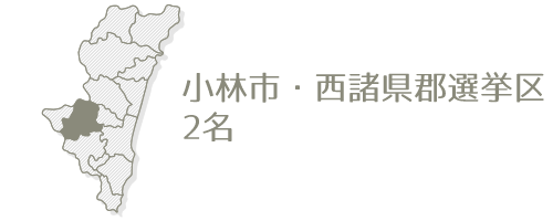 小林市・西諸県郡選挙区2名