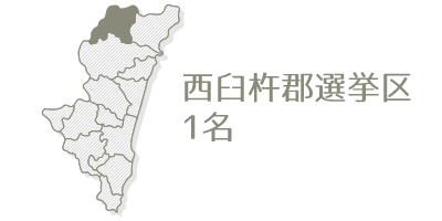 西臼杵郡選挙区1名