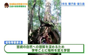 宮崎西高附属中「青島亜熱帯植物観察会」（再放送）