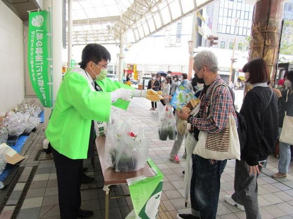 苗木の配布