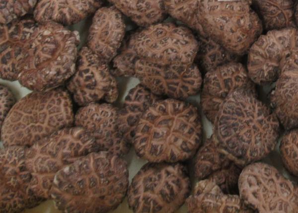 農林水産大臣賞