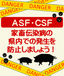 【ASF・CSF】家畜伝染病の県内での発生を防止しましょう！