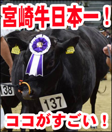 宮崎牛日本一!ココがすごい!