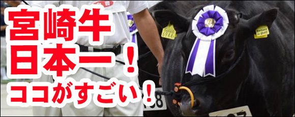 宮崎牛日本一!ココがすごい!