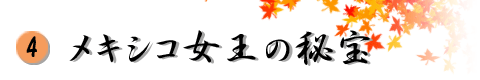 S@LVR̔