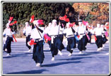 兵児踊の写真