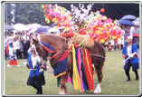 ジャンカン馬踊の写真