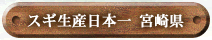 XMY{@{茧