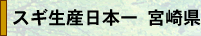 XMY{@{茧