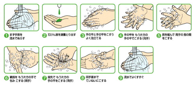 手洗いの方法 手洗い よる感染症の予防 ただやっておけば 効果が期待できるわけではありません 大切なことは 自分の中に病原体を持ち込まない ということです 多くの病原体は のどや消化管 目 鼻の粘膜から感染します これらの粘膜に 手洗いの方法 手洗い よる感染症の予防 ただやっておけば 効果が期待できるわけではありません 大切なことは 自分の中に病原体を持ち込まない ということです 多くの病原体は のどや消化管 目 鼻の粘膜から感染します これらの粘膜に