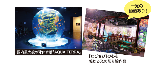 一見の価値あり！ 国内最大級の球体水槽「AQUA TERRA」 「わびさび」の心を感じる光の切り絵作品