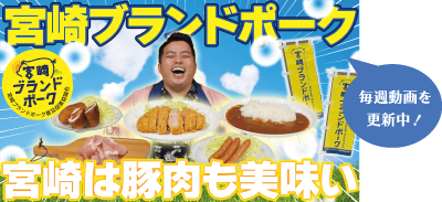 毎週動画を更新中！