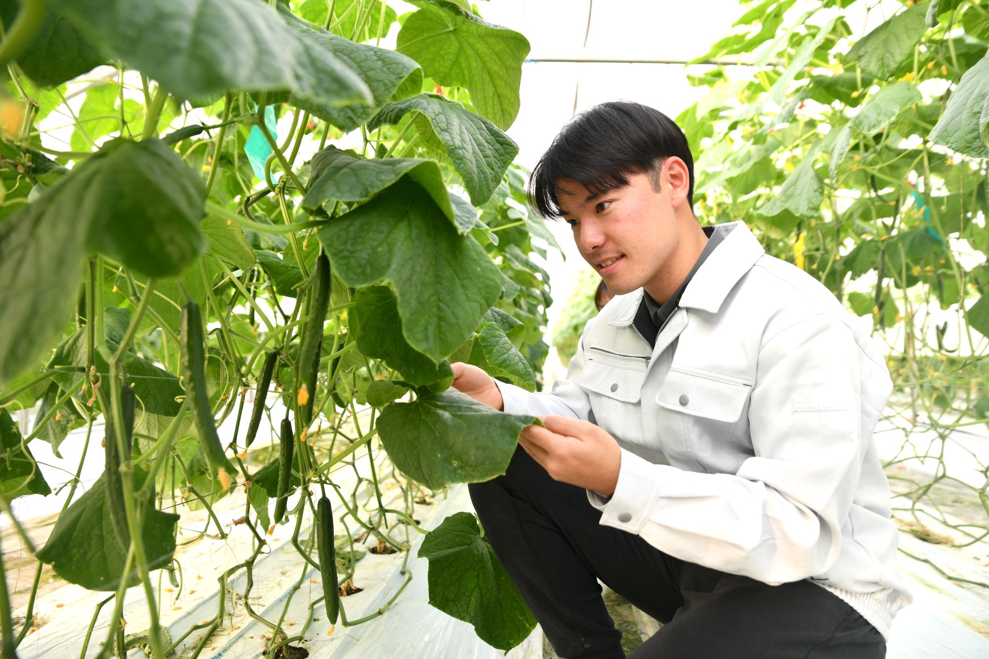 これまでの仕事で印象に残っていること イメージ