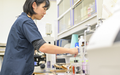 現在携わっている仕事内容 イメージ
