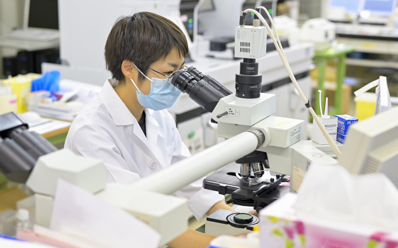 現在携わっている仕事内容 イメージ